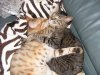 DSCF2071.jpg
