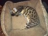 IMG_20120304_014505.jpg