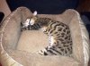 IMG_20120304_014740.jpg