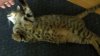 2012-03-29_12-11-46_665.jpg