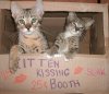 Abu Kissing Booth.jpg