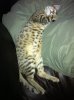 photo (16).JPG