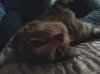 20120320_203640.jpg
