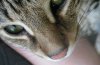 xumi macro nose 5-19-12.jpg