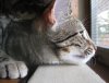 xumi macro profile 5-19-12.jpg