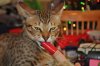 DSC_0187.JPG