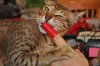 DSC_0185.JPG
