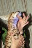 Jun23-09-chin.jpg