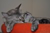 DSC_1135.JPG