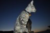 DSC_1253.JPG