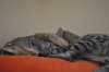 DSC_1262.JPG