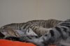 DSC_1264.JPG