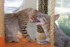 DSCF7788.jpg
