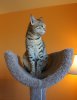 DSC03955.JPG