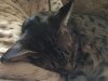 IMG_1031.JPG