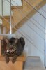 IMG_4567 small.jpg