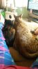 20160423_100539.jpg