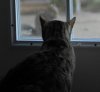 YSC_0011.JPG