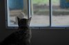 YSC_0012.JPG