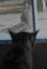 YSC_0013.JPG