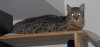 YSC_0009.JPG