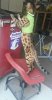 20160522_172216_resized.jpg