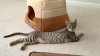 WP_20160603_17_20_58_Rich.jpg