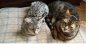 WP_20160612_18_05_14_Rich.jpg