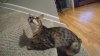20160913_203106.jpg