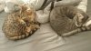 20160914_112829.jpg