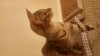 20160918_230233_HDR.jpg