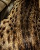 IMG_20160911_215252.jpg