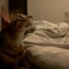 IMG_20160912_070234.jpg