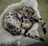 20160921_153042_BEST.jpg