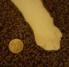 20161007_004637.jpg