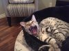 Reever say ahhh.jpg