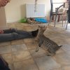 IMG-20161026-WA0011.jpg