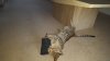 20161027_103140.jpg