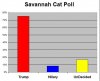 savannahpoll1105.jpg