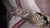 20161103_003724.jpg