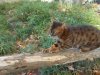 DSCN2084.JPG