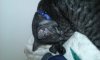 20161016_224940.jpg