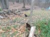 DSCN2169.JPG