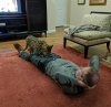 12-11-2016 nervous alan.jpg