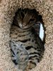 12-18-2016 cute face.jpg