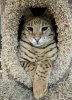 full face smaller pic.jpg