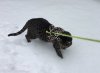 IMG_1105.JPG