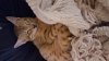 20161222_215711.jpg