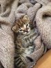 Solo 2.5 weeks 2-4-17 8.jpeg Solo 2.5 weeks 2-4-17 8.jpeg