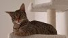 WP_20170220_13_43_26_Rich.jpg